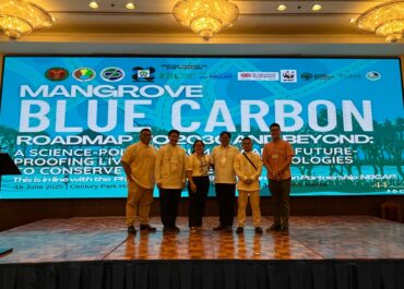 IRNR Faculty, TA, and URA Attend Mangrove Blue Carbon Roadmap Forum
